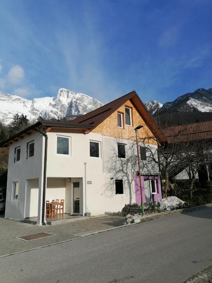 Apartma Pr Urarj コバリード エクステリア 写真